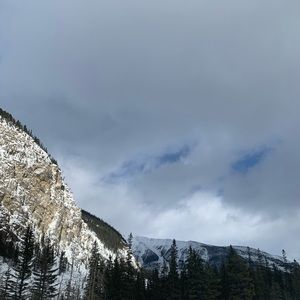 Meet your Posher, Leila